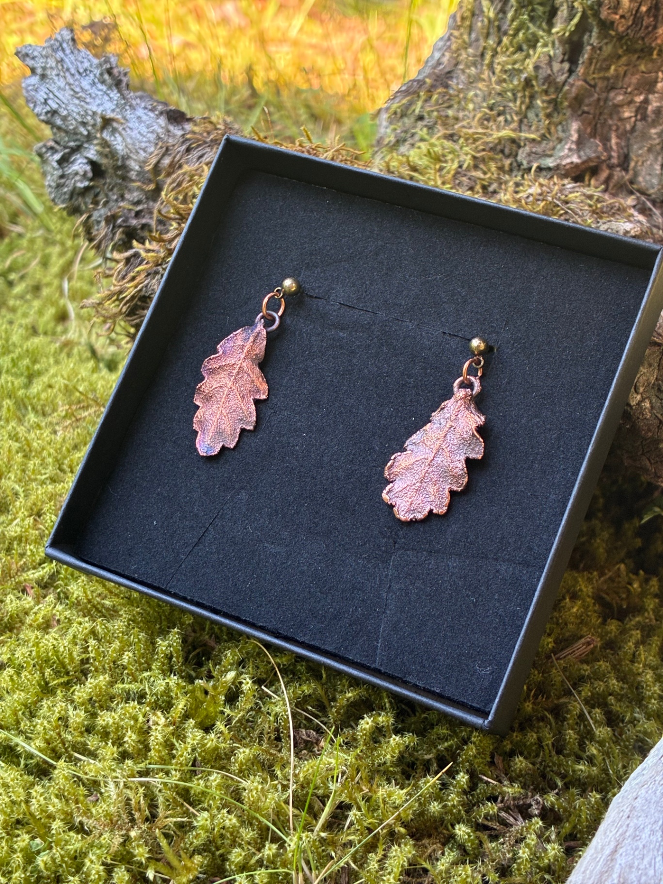 Boucles d'oreilles en forme de feuilles de chêne cuivrées dans leur écrin